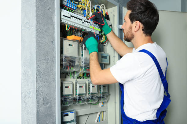Best Electric Panel Repair  in Seymour, TX